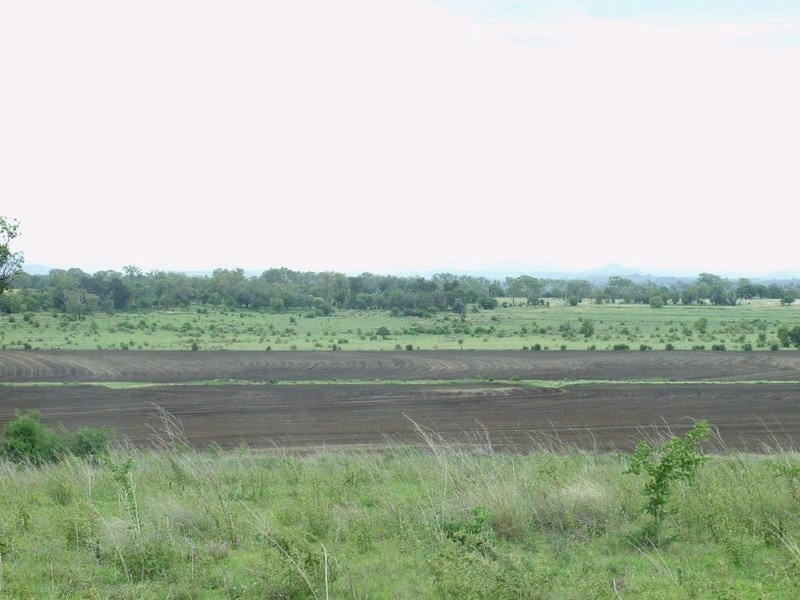 3596 Pechey Maclagan Road, Kulpi QLD 4352