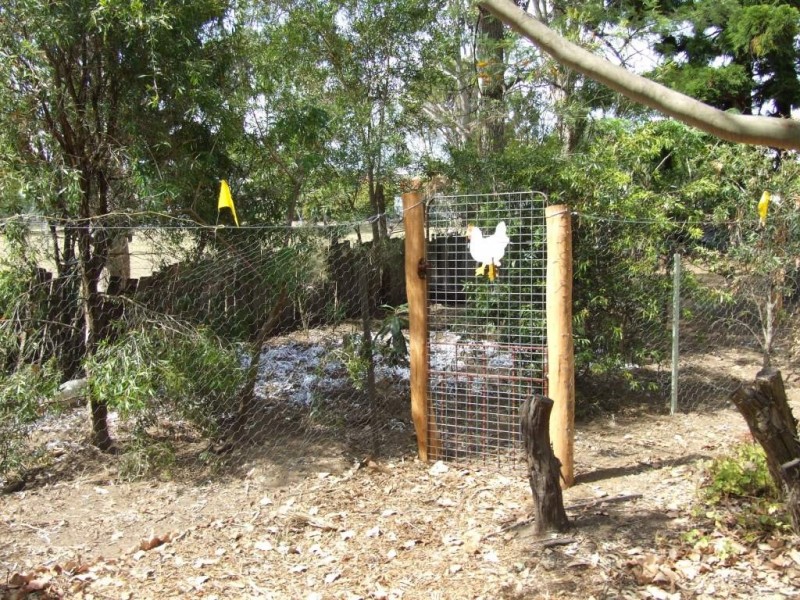 6 Short Street, Crows Nest QLD 4355