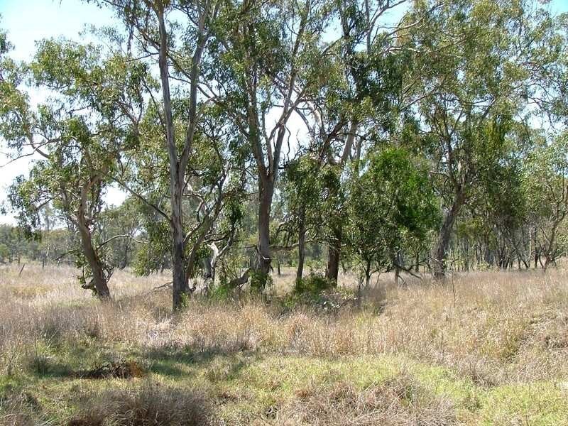 00 Perseverance Dam Road, Crows Nest QLD 4355