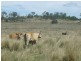 Lot 7 Pierce Creek Road, Crows Nest QLD 4355