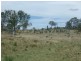 Lot 7 Pierce Creek Road, Crows Nest QLD 4355