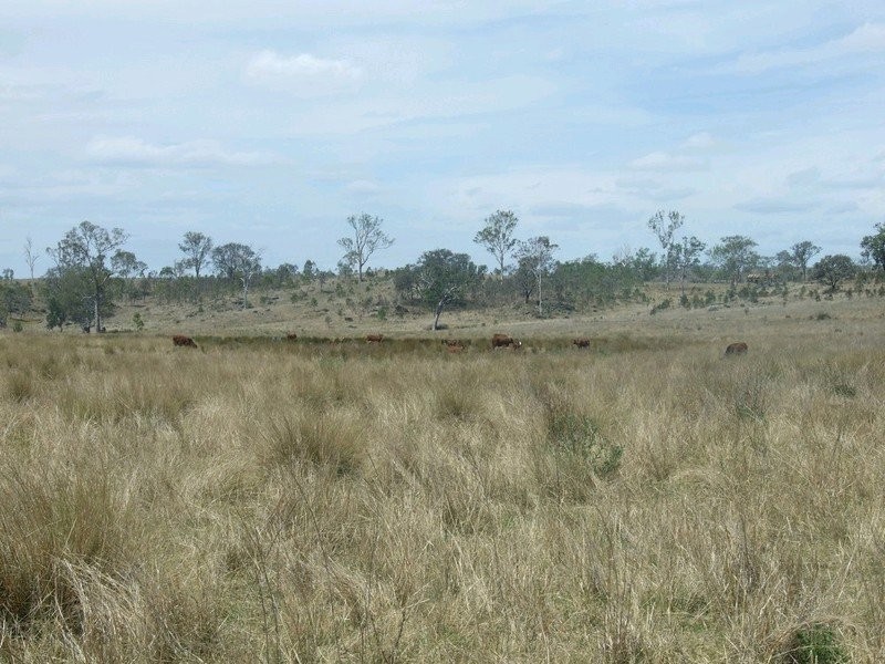 Lot 7 Pierce Creek Road, Emu Creek QLD 4355