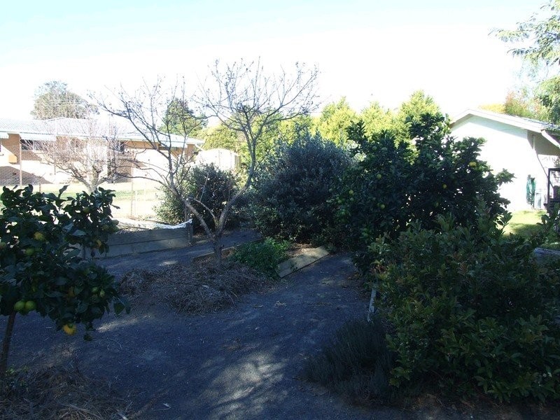 34 South Street, Crows Nest QLD 4355