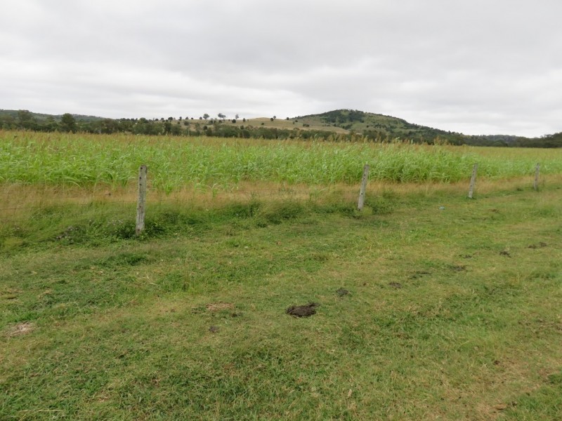 442 O’Connor Road, Coalbank QLD 4352