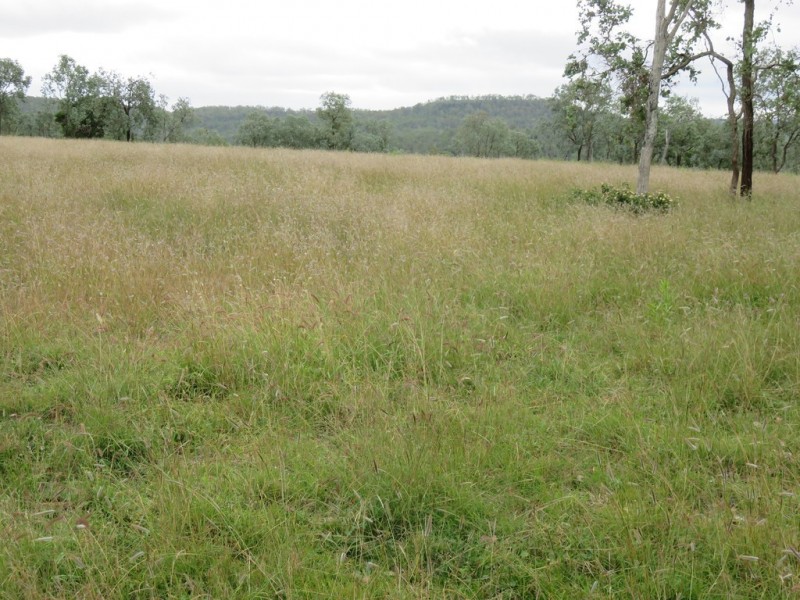 442 O’Connor Road, Coalbank QLD 4352