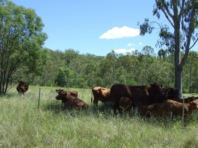 00 Emu Creek Road, Crows Nest QLD 4355