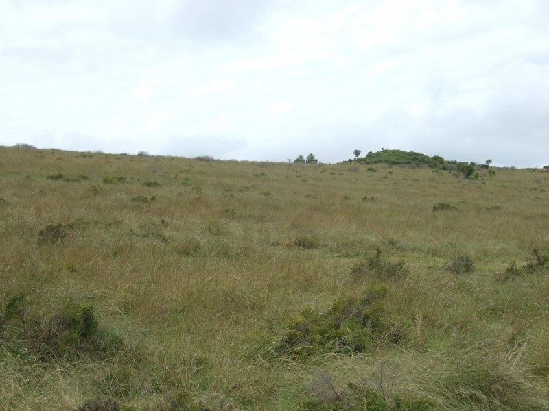 L212 Dukes Road, Cooyar QLD 4402