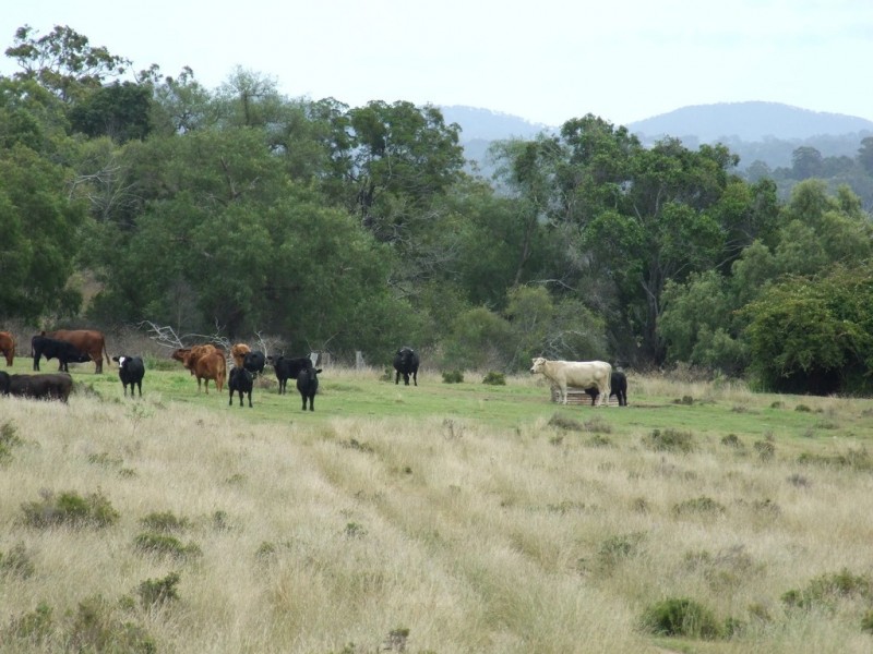 L215 Dukes road, Cooyar QLD 4402