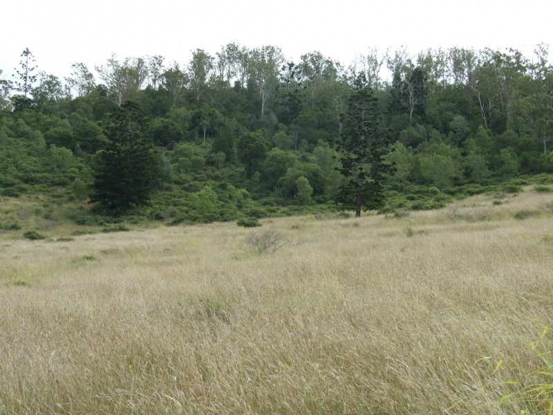 L214 Graham Road, Cooyar QLD 4402