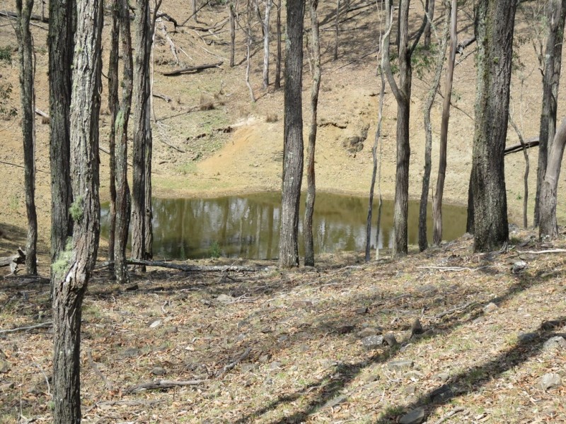 8 Avery Court, Cooyar QLD 4402