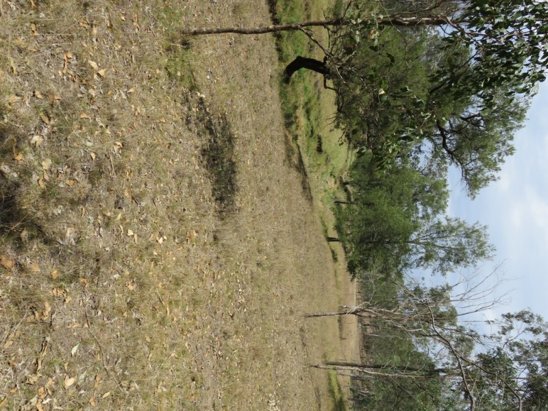 8 Avery Court, Cooyar QLD 4402