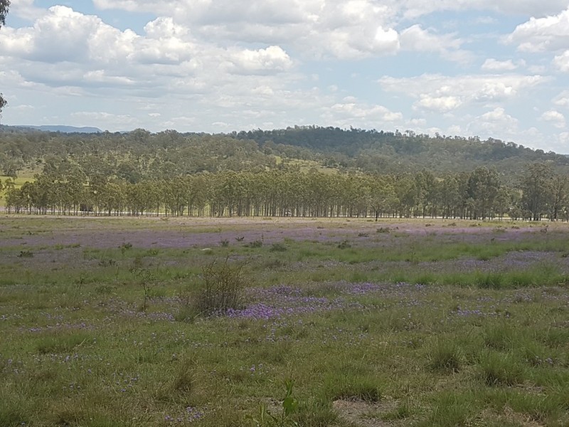 3303 New England Highway, Cooyar QLD 4402