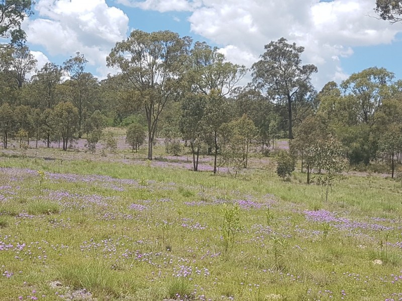 3303 New England Highway, Cooyar QLD 4402