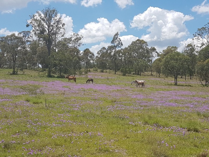 3303 New England Highway, Cooyar QLD 4402
