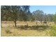 L2 New England Highway, Crows Nest QLD 4355