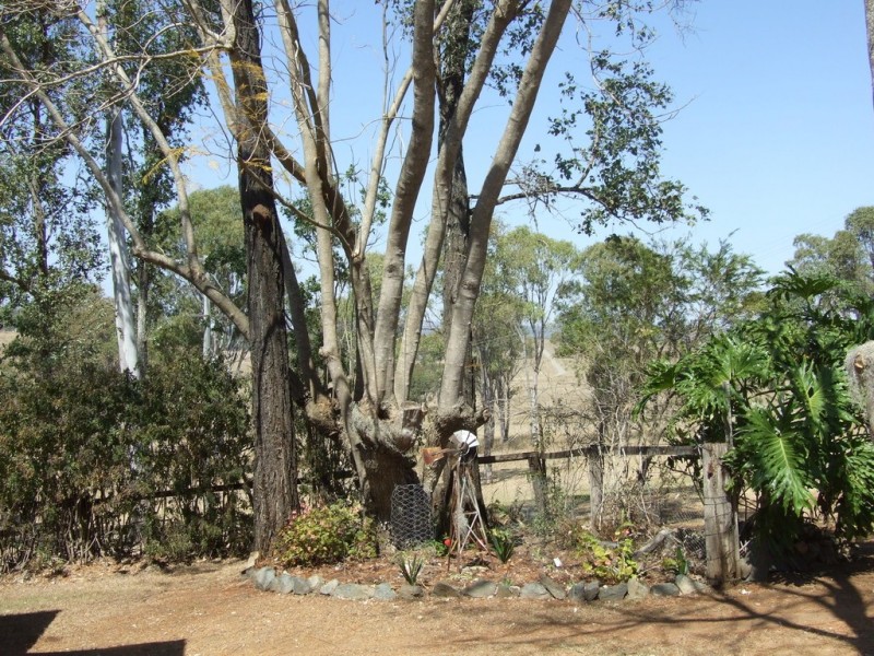 1036 Nukinenda, Anduramba QLD 4355