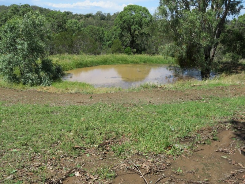 1012 Pechey Maclagan Road, Groomsville QLD 4352