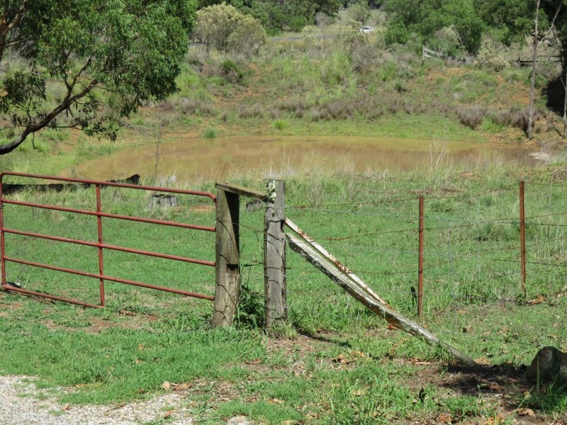 1012 Pechey Maclagan Road, Groomsville QLD 4352