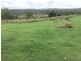 1012 Pechey Maclagan Road, Groomsville QLD 4352