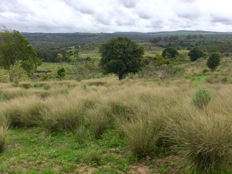 1012 Pechey Maclagan Road, Groomsville QLD 4352