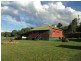 335 Schick Road, Thornville QLD 4352
