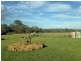 335 Schick Road, Thornville QLD 4352