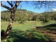 335 Schick Road, Thornville QLD 4352