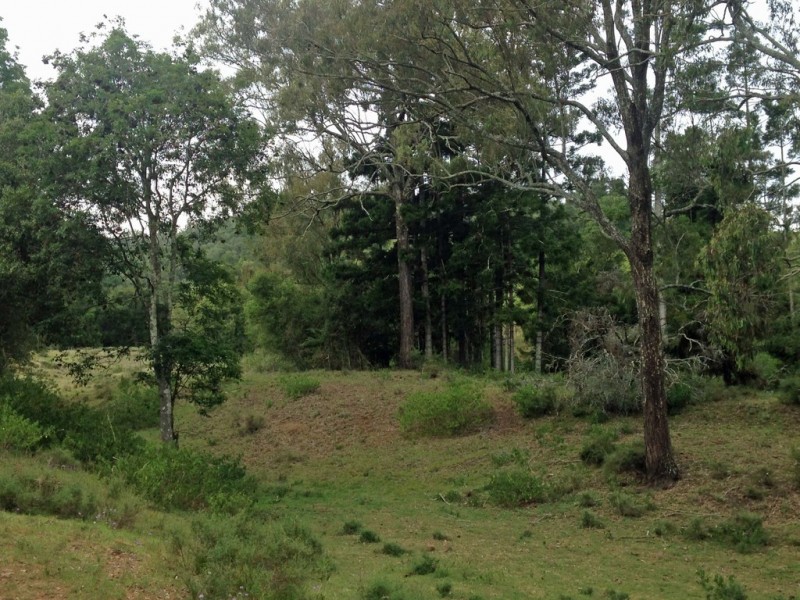 335 Schick Road, Thornville QLD 4352