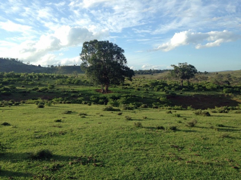 335 Schick Road, Thornville QLD 4352