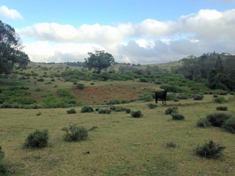 335 Schick Road, Thornville QLD 4352