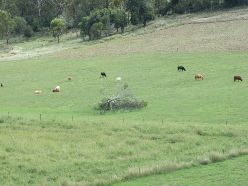 139 Groomsville Road, Groomsville QLD 4352