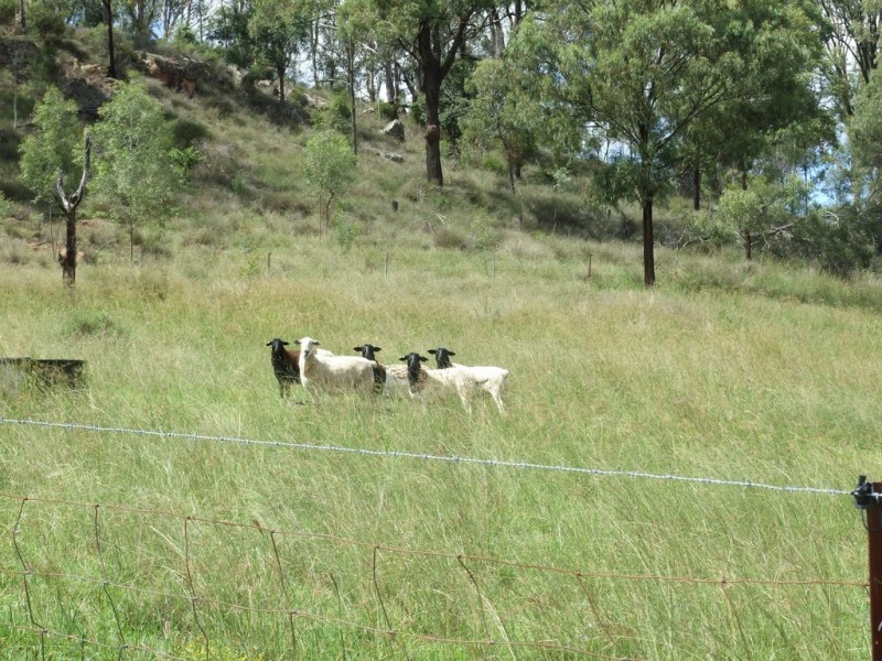 139 Groomsville Road, Groomsville QLD 4352