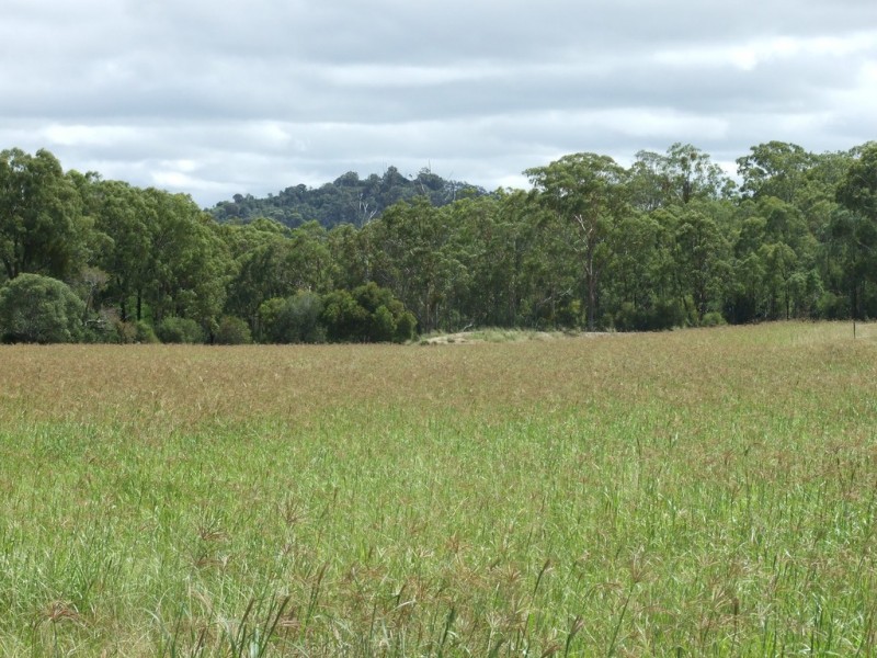 139 Groomsville Road, Groomsville QLD 4352