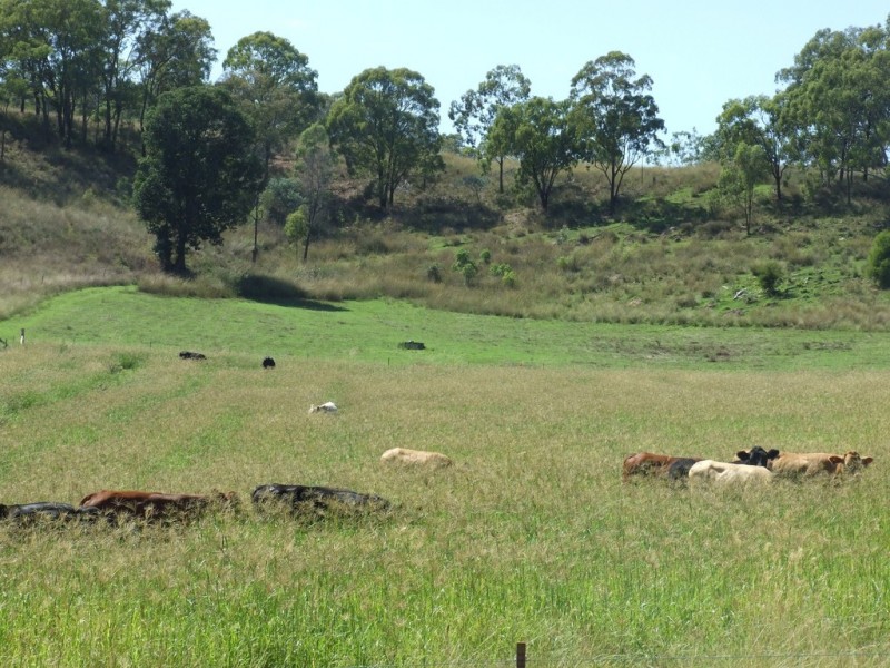 139 Groomsville Road, Groomsville QLD 4352