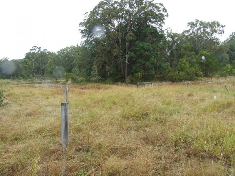 664 Pierce Creek Road, Crows Nest QLD 4355