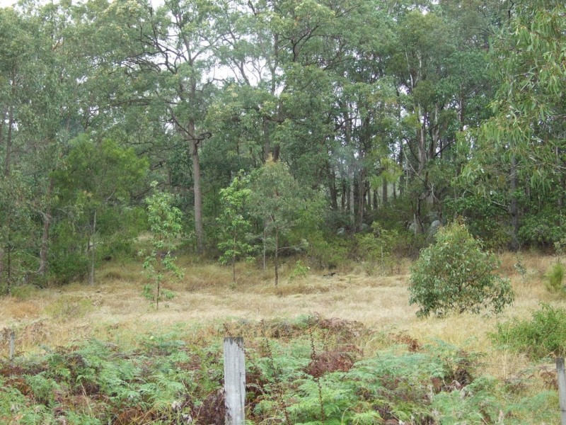 664 Pierce Creek Road, Crows Nest QLD 4355