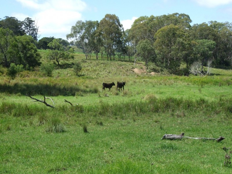 00 Mountain Camp Road, Crows Nest QLD 4355