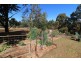 3B Lilliegren Court, Highfields QLD 4352