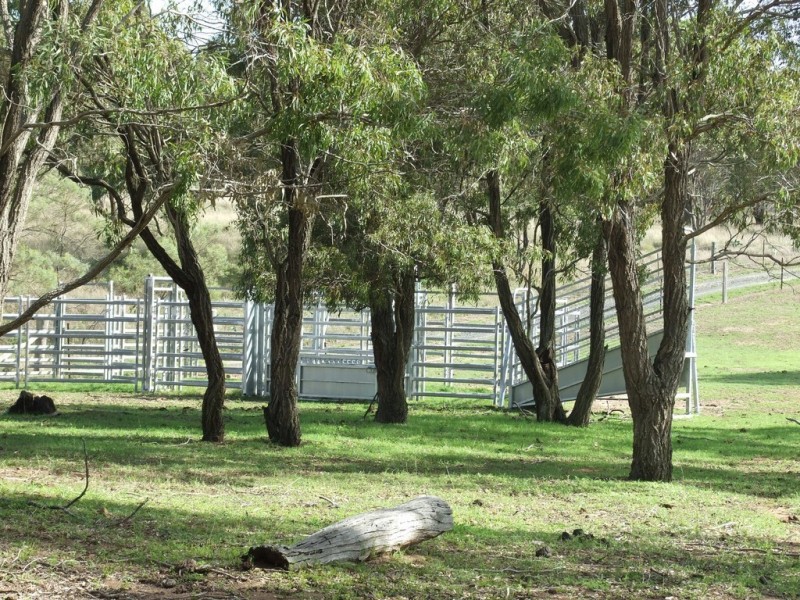 329 Valewood Road, Geham QLD 4352