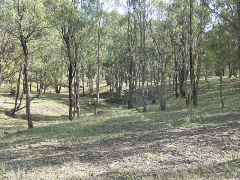 329 Valewood Road, Geham QLD 4352