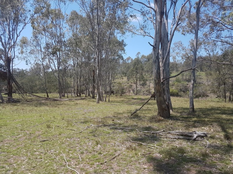 435 Cooyar Rangemore Road, Cooyar QLD 4402
