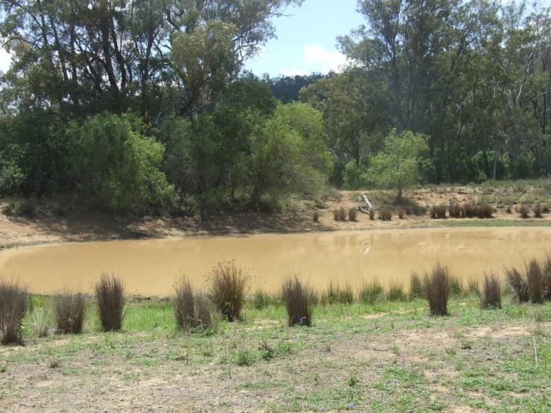 L1 and 2 Goombungee-Mt Darry Road, Goombungee QLD 4354
