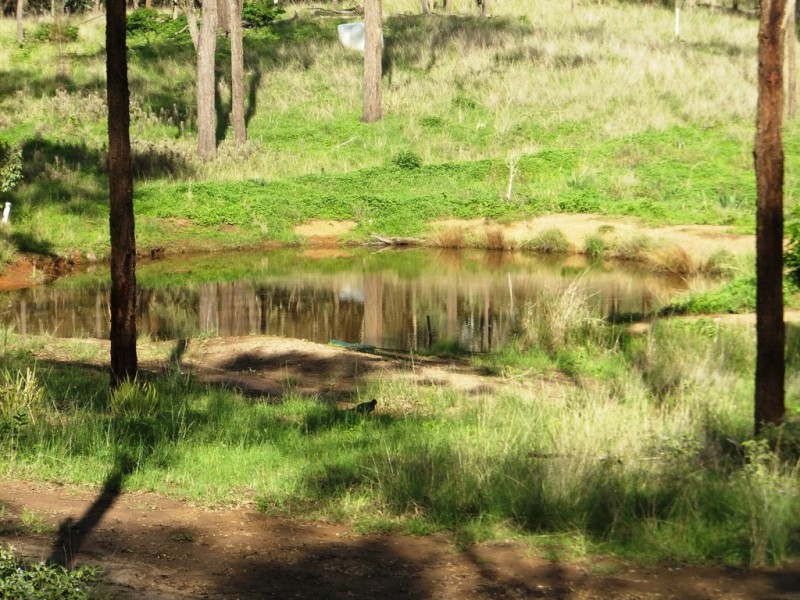 502 Back Creek Road, Cooyar QLD 4402