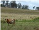 L7/7716 New England Highway, Crows Nest QLD 4355
