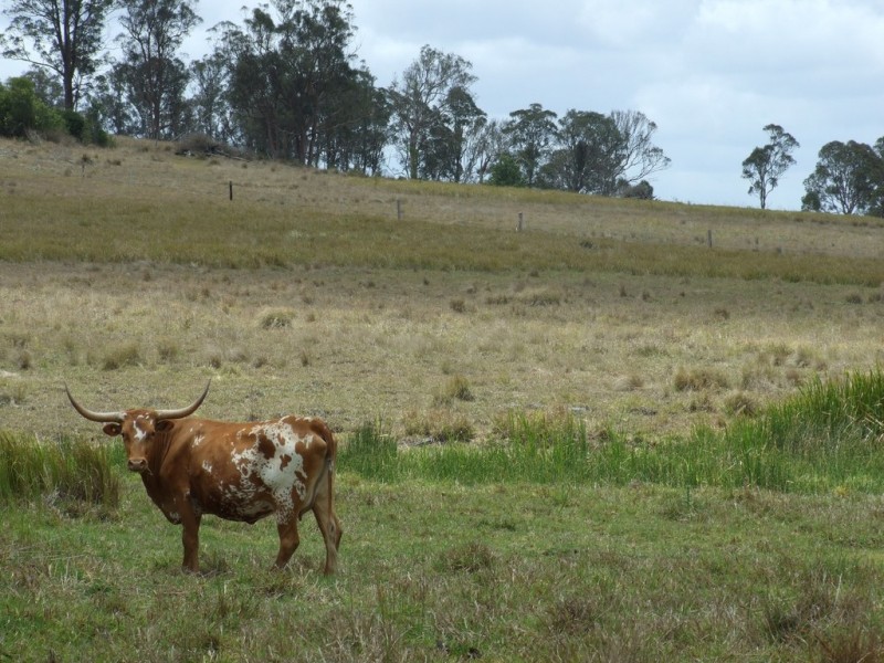 L7/7716 New England Highway, Crows Nest QLD 4355