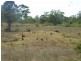 000 Nothdurft Road, Haden QLD 4353