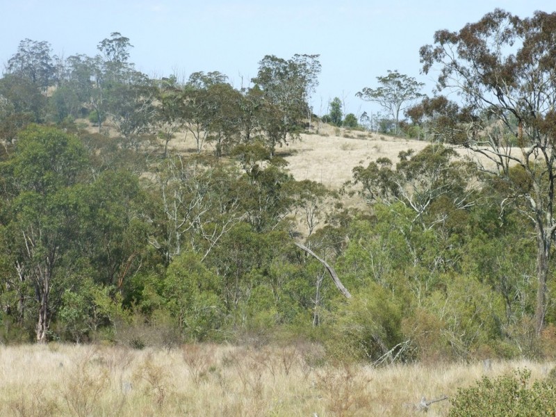 000 Nothdurft Road, Haden QLD 4353