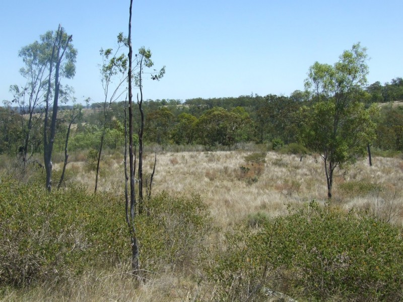 000 Nothdurft Road, Haden QLD 4353