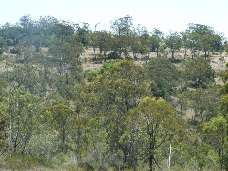 000 Nothdurft Road, Haden QLD 4353
