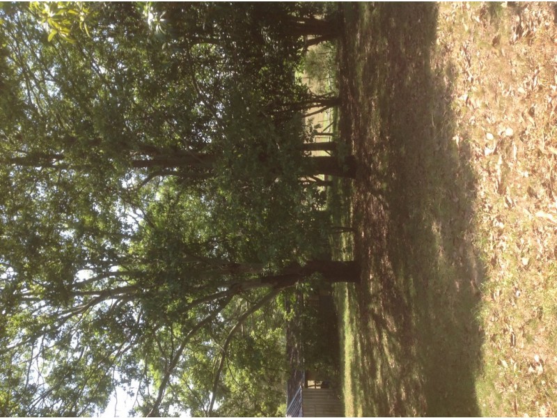 84 Palmtree Road, Ravensbourne QLD 4352